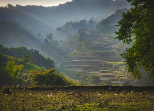 vizag araku tour pack